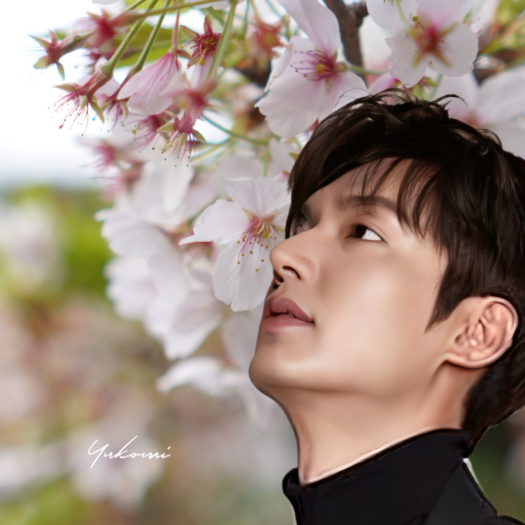 李敏镐的近期活动照