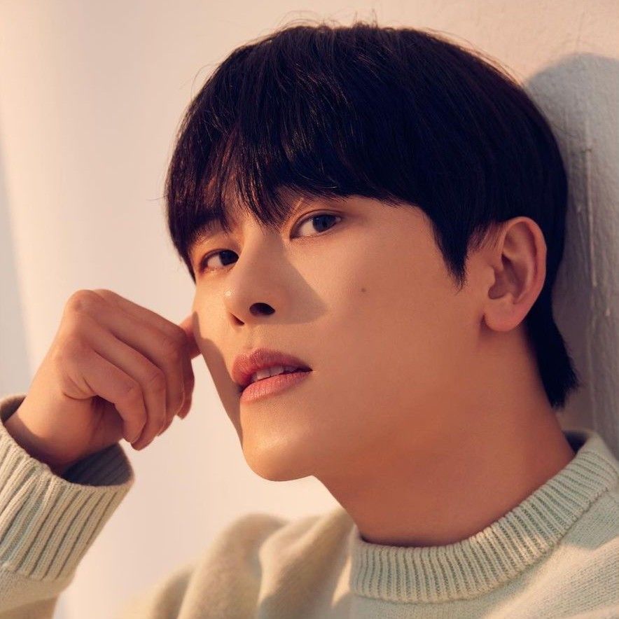 Recent activity shot of Hoya