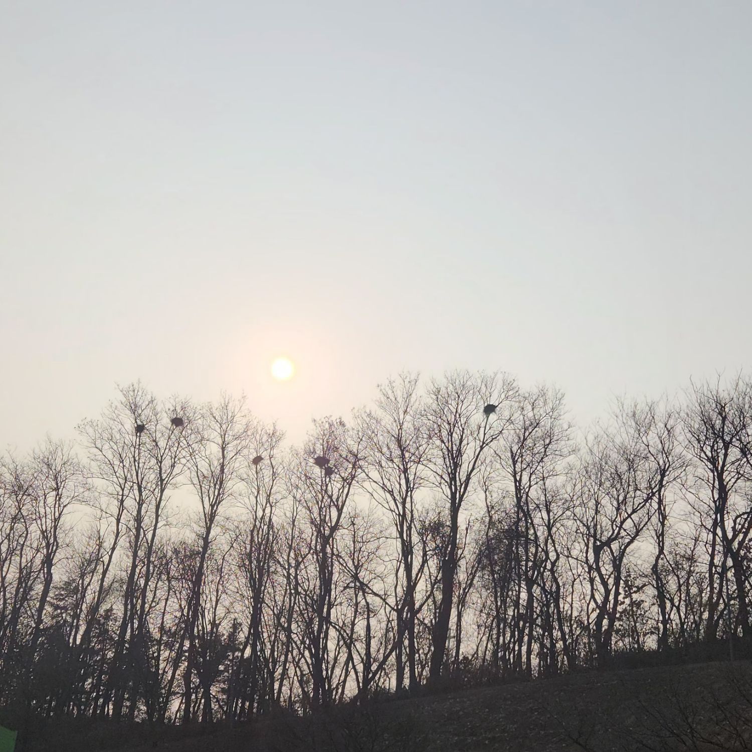 이찬원 최근 활동샷