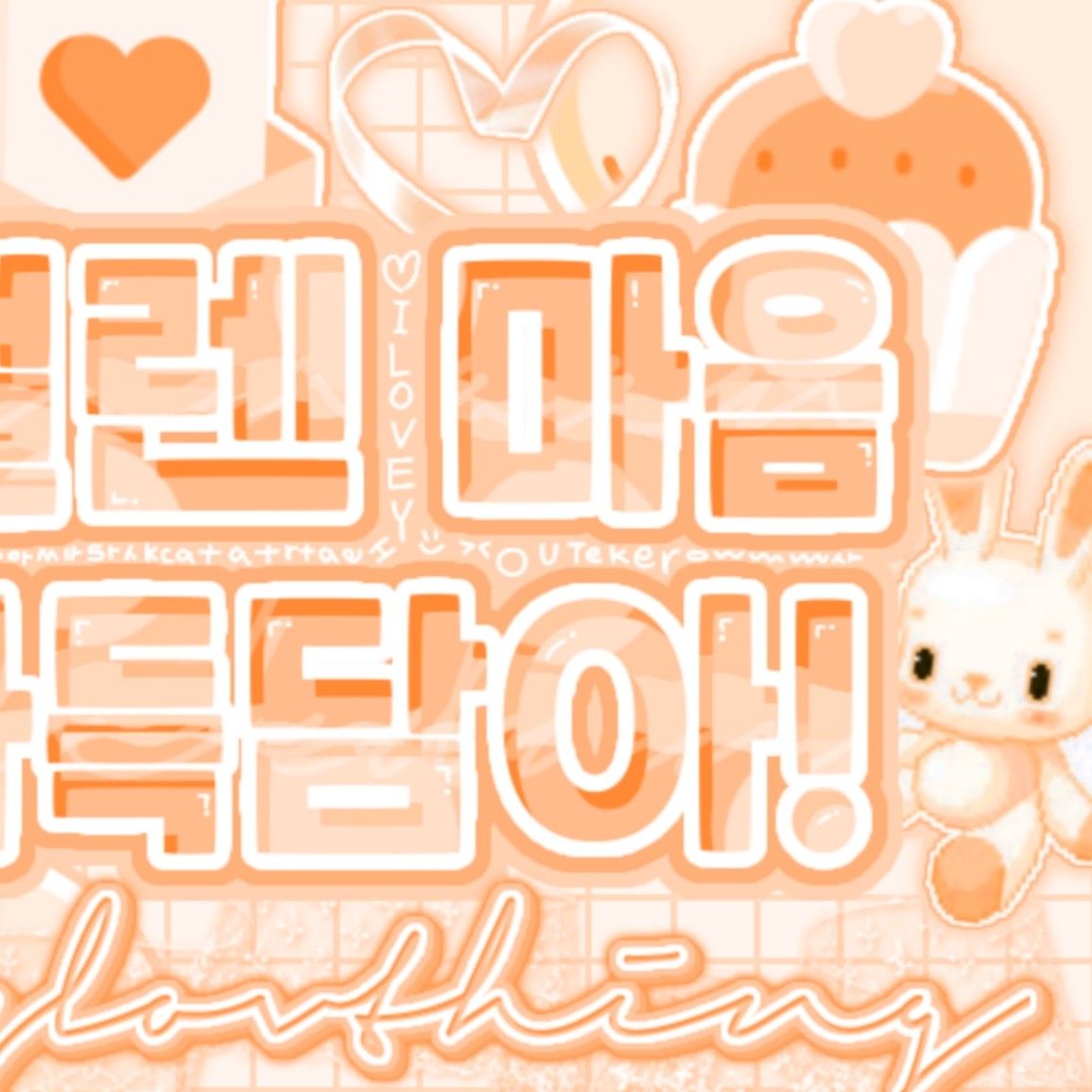 김도훈 팬이 찍은 순간