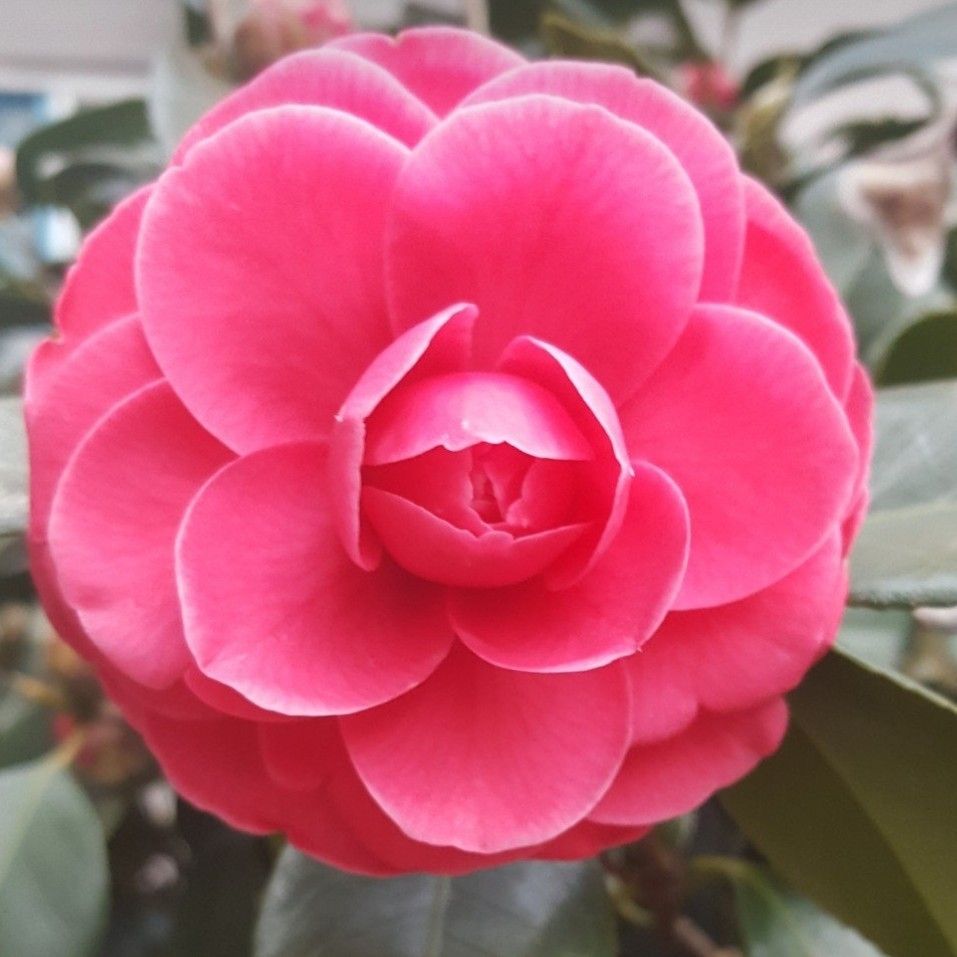 永卓的幕後花絮