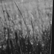 Recent activity shot of Jang Kiyong