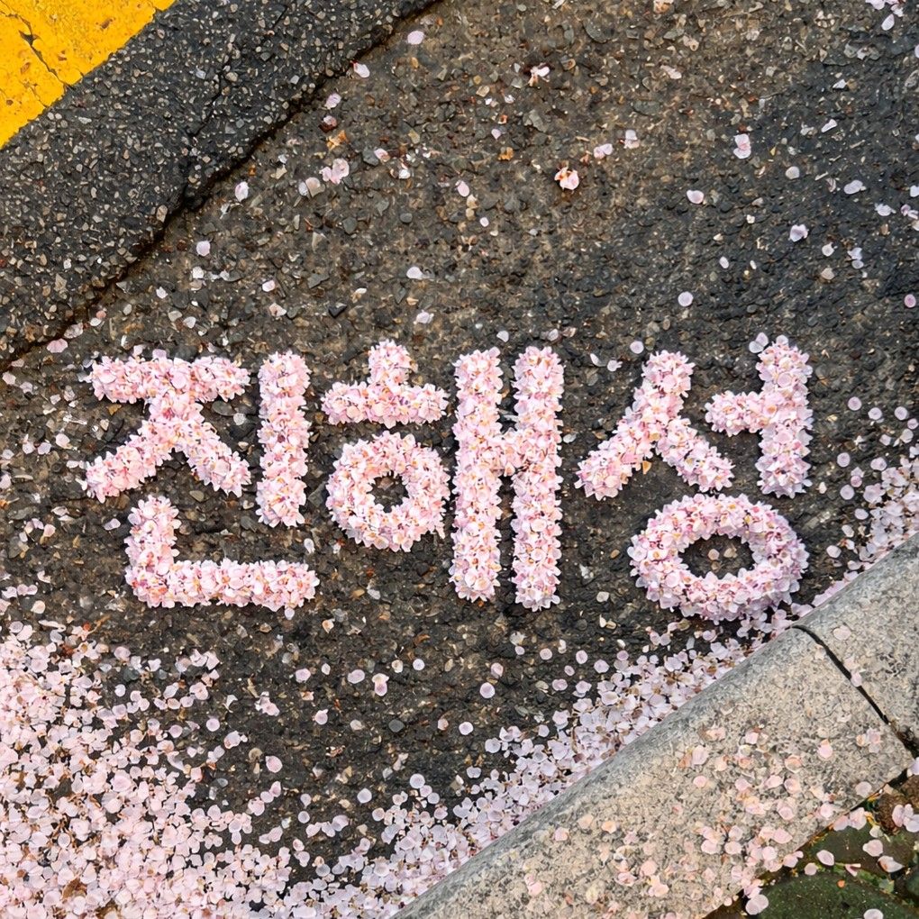 A moment captured by a fan of Jin Haesung