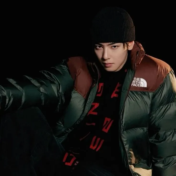 Recent activity shot of Cha Eunwoo