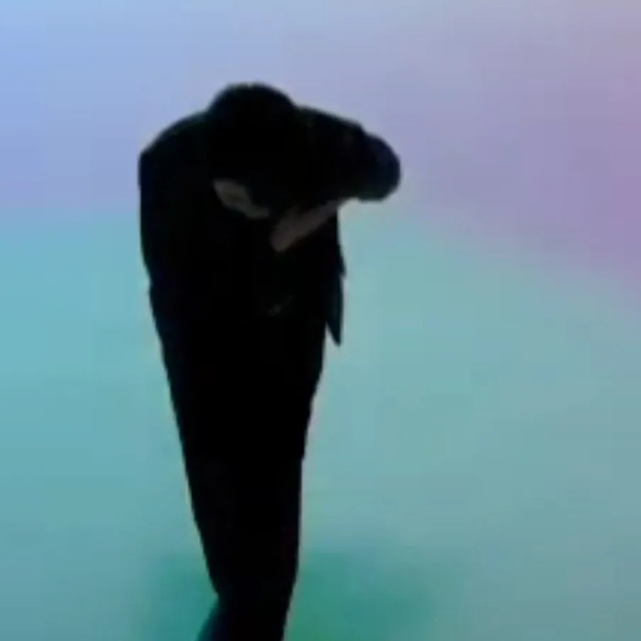 영탁 최근 활동샷