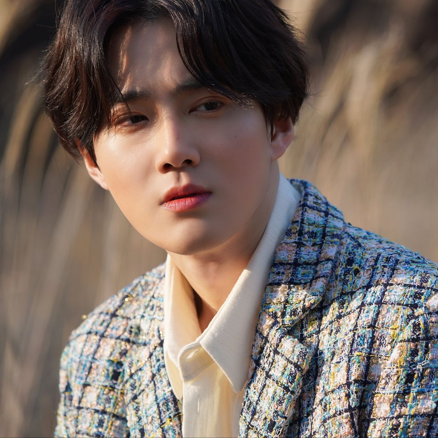 Suho的近期活動照