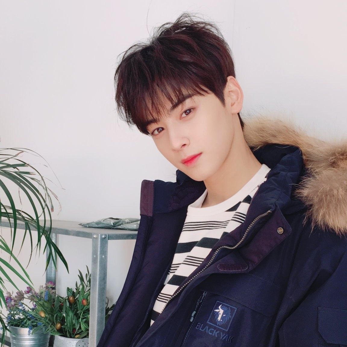 粉丝拍下的车银优瞬间