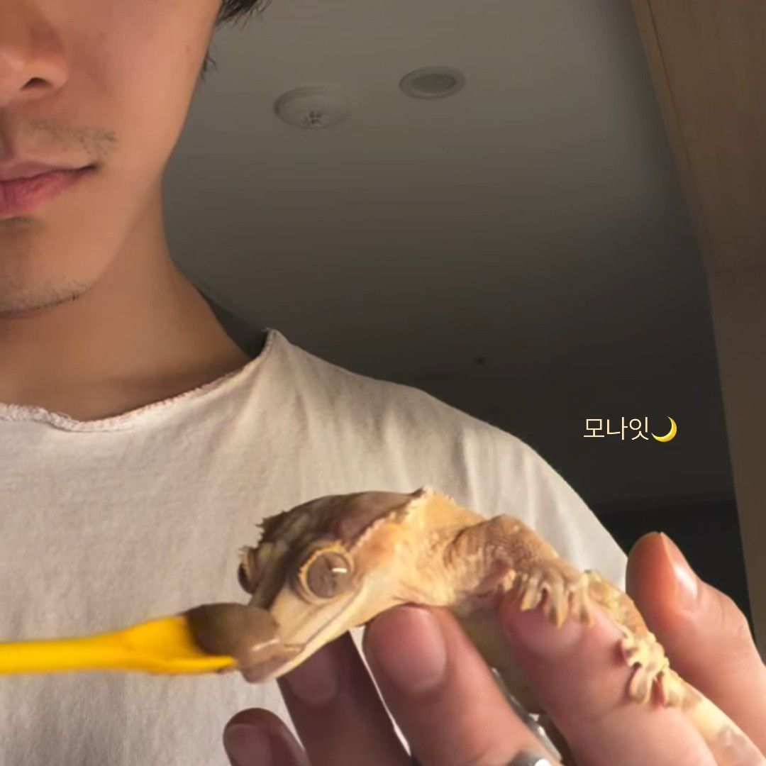 Behind-the-scenes cut of Ki Moogan