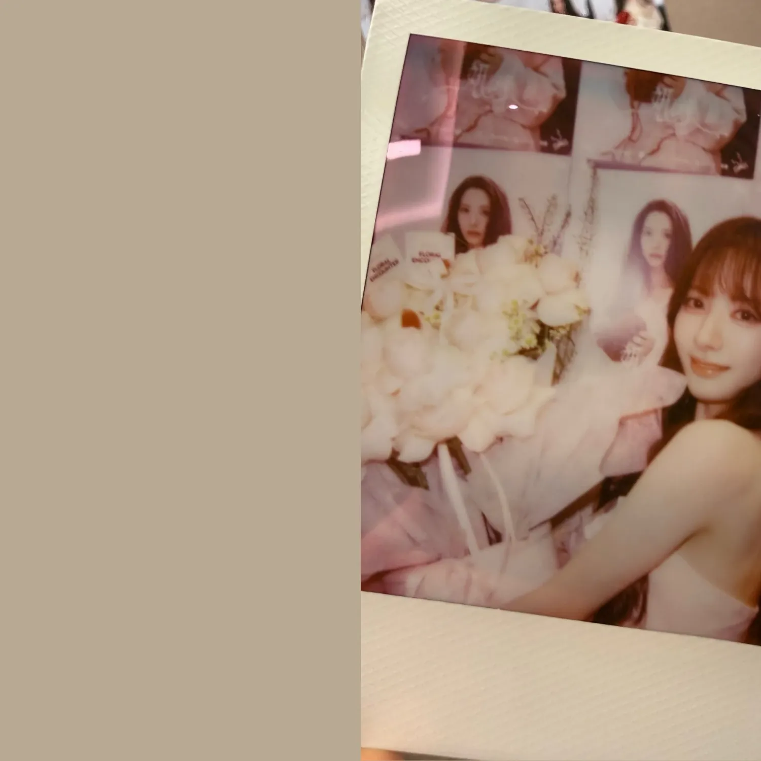 Recent activity shot of Bona