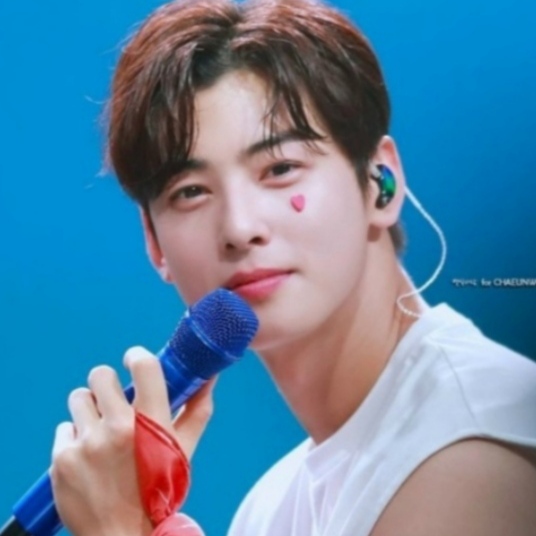 Recent activity shot of Cha Eunwoo