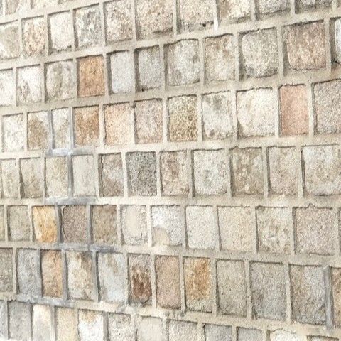 Recent activity shot of Bona