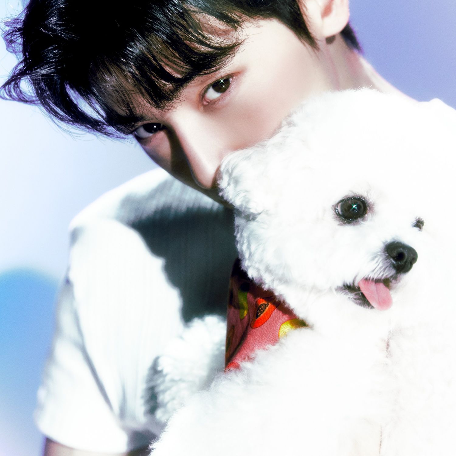 粉絲拍下的車銀優瞬間