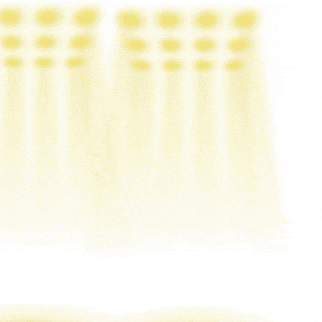 현빈의 최신 사진