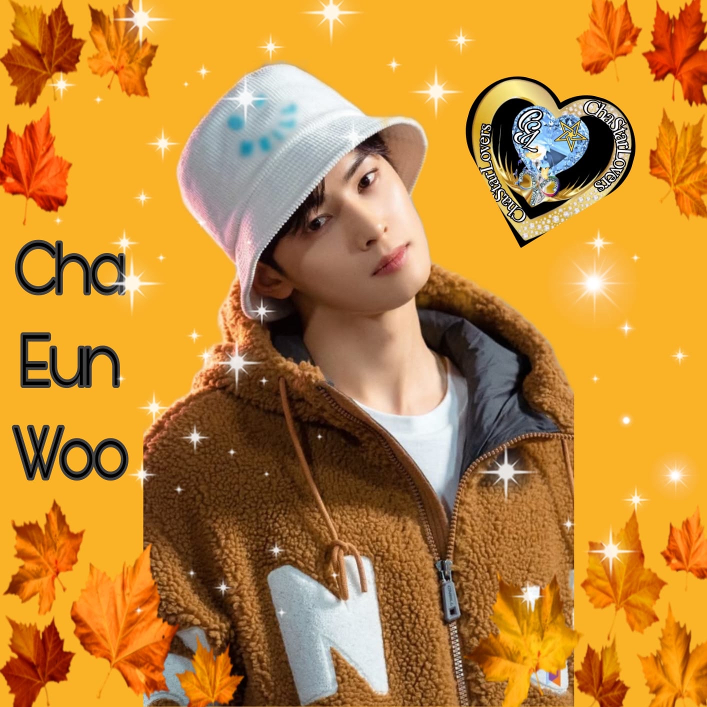 Recent activity shot of Cha Eunwoo