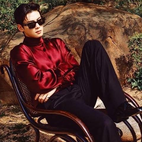 Behind-the-scenes cut of Cha Eunwoo