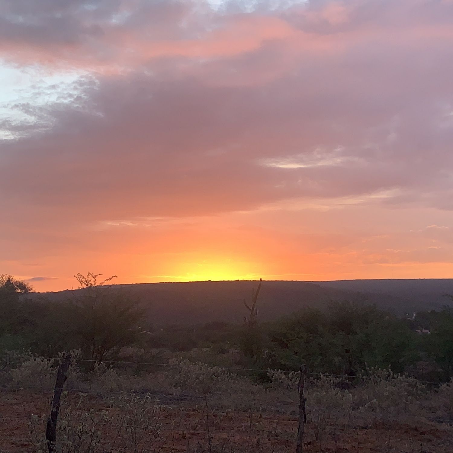 チ・チャンウクの最近の活動ショット