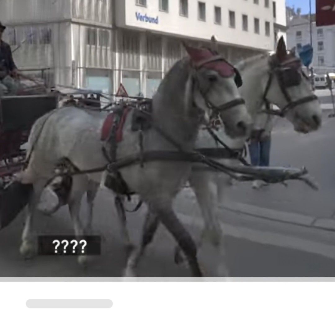 A moment captured by a fan of Hwang WooLim