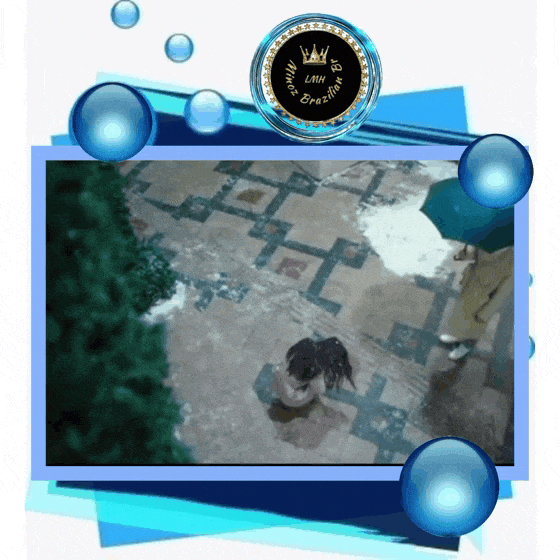 이민호의 비하인드 컷