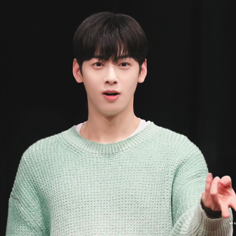 A moment captured by a fan of Cha Eunwoo