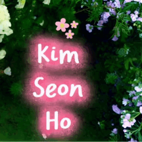 Recent activity shot of Kim Seonho