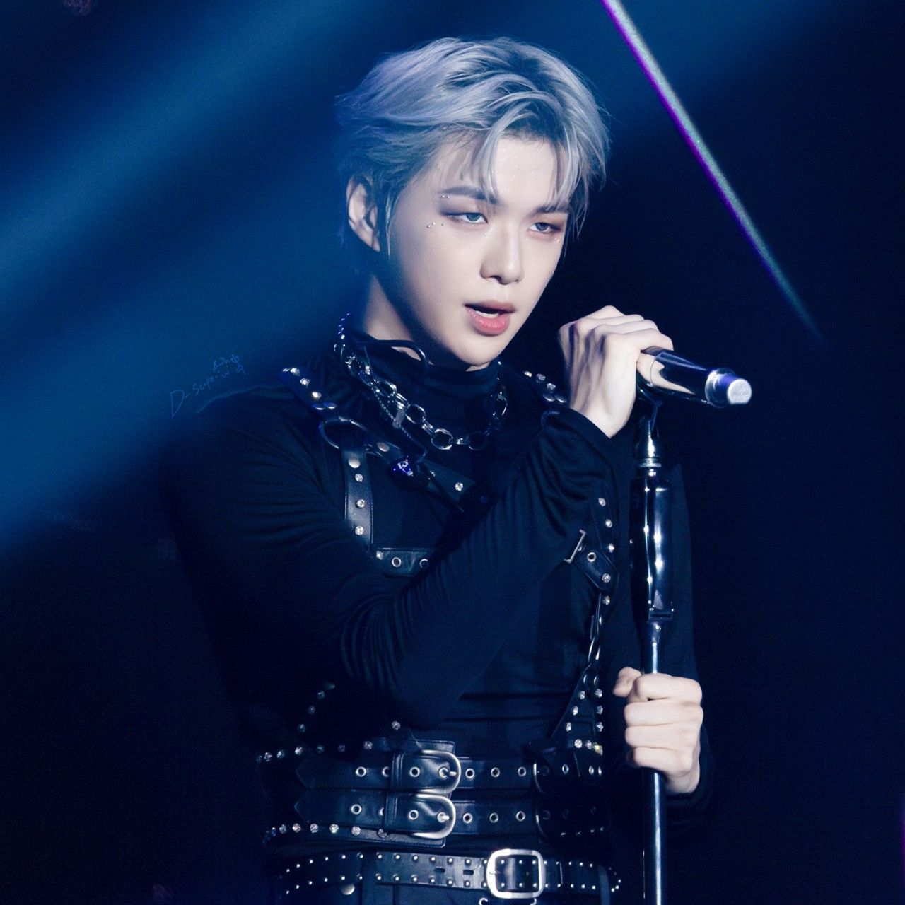 Recent activity shot of Secret Garden