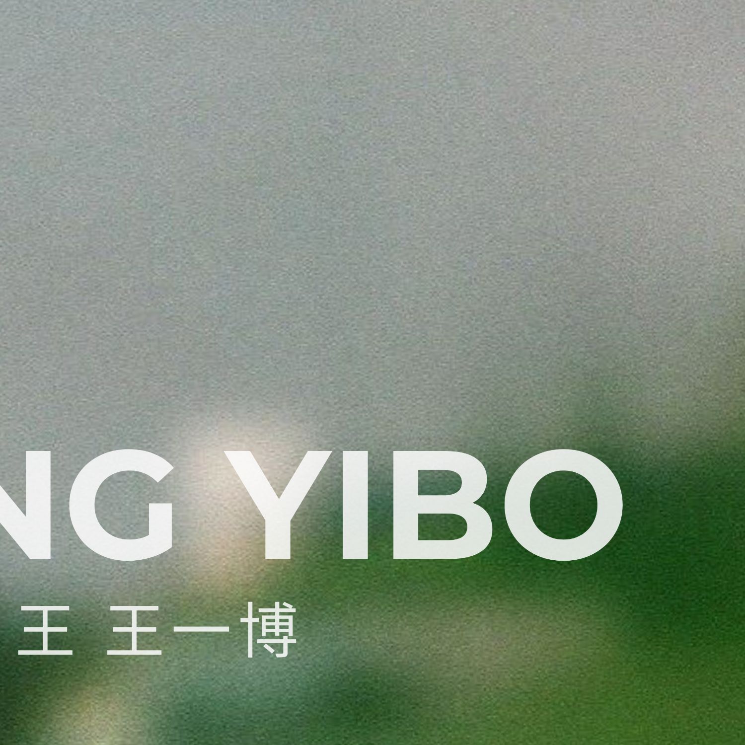 Recent activity shot of Wang Yibo