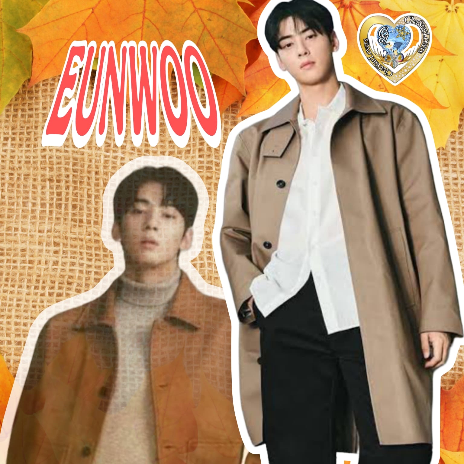 Recent activity shot of Cha Eunwoo