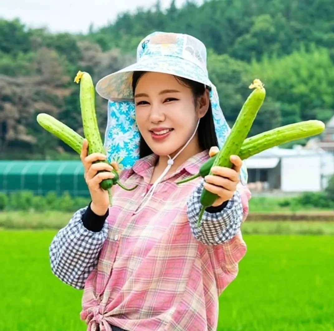 宋歌人的近期活动照