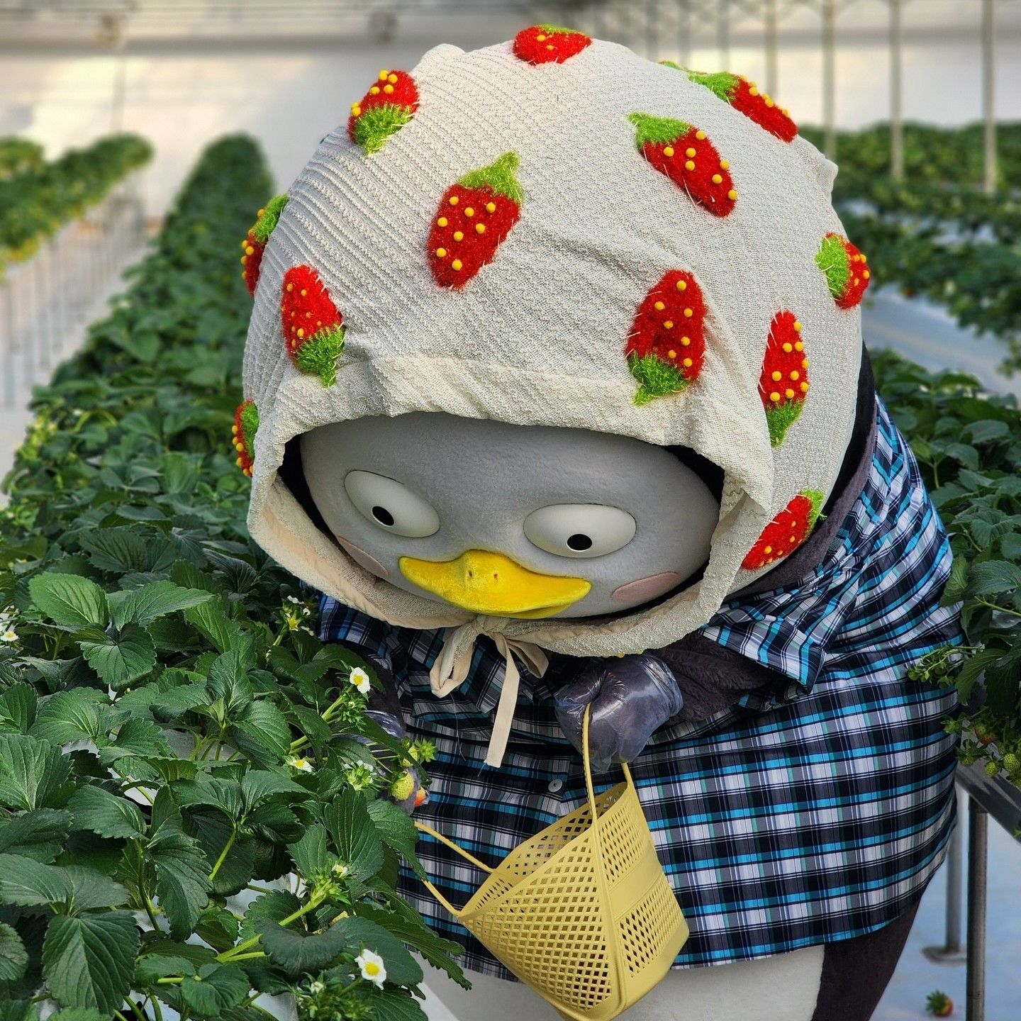 Foto terbaru dari Pengsoo