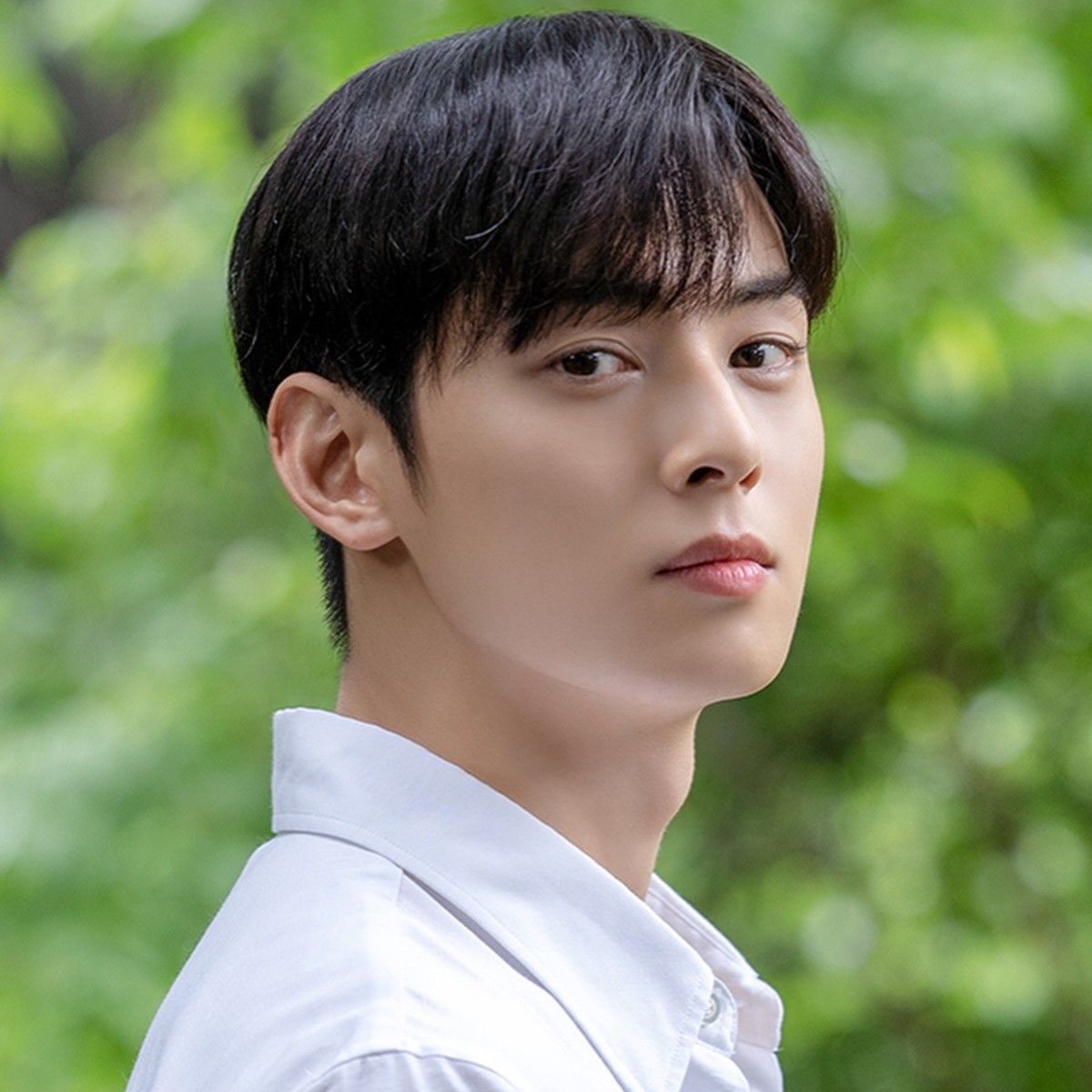 ファンが撮影したチャ・ウヌの瞬間