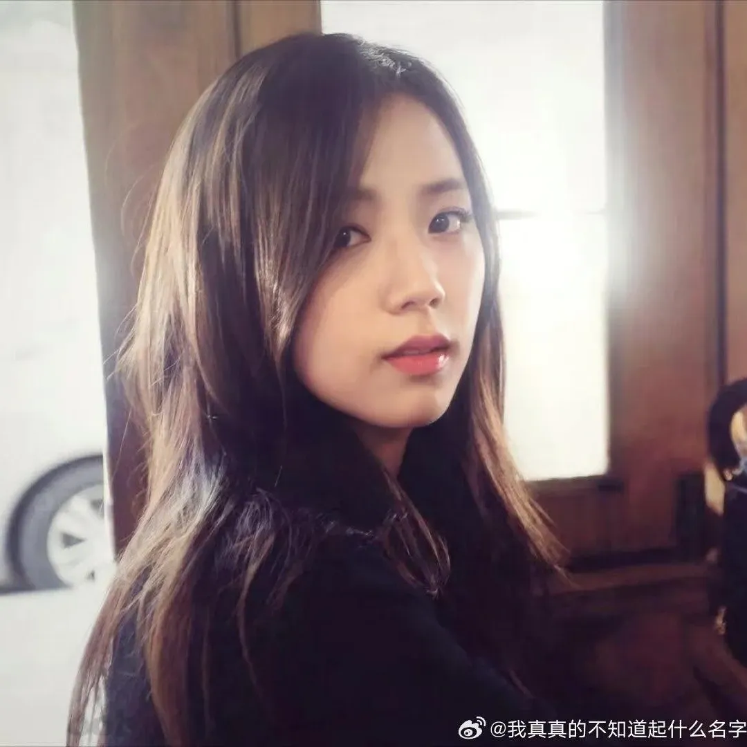 A moment captured by a fan of Jisoo (1995)