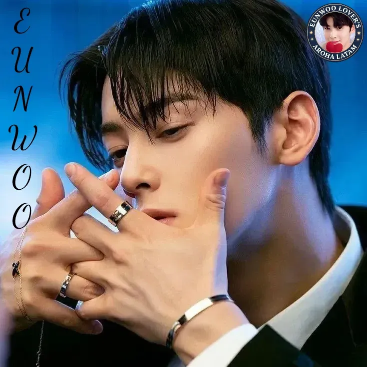 A moment captured by a fan of Cha Eunwoo