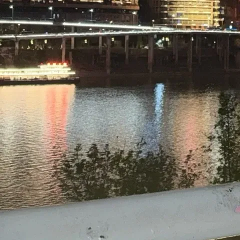 Recent activity shot of Bona