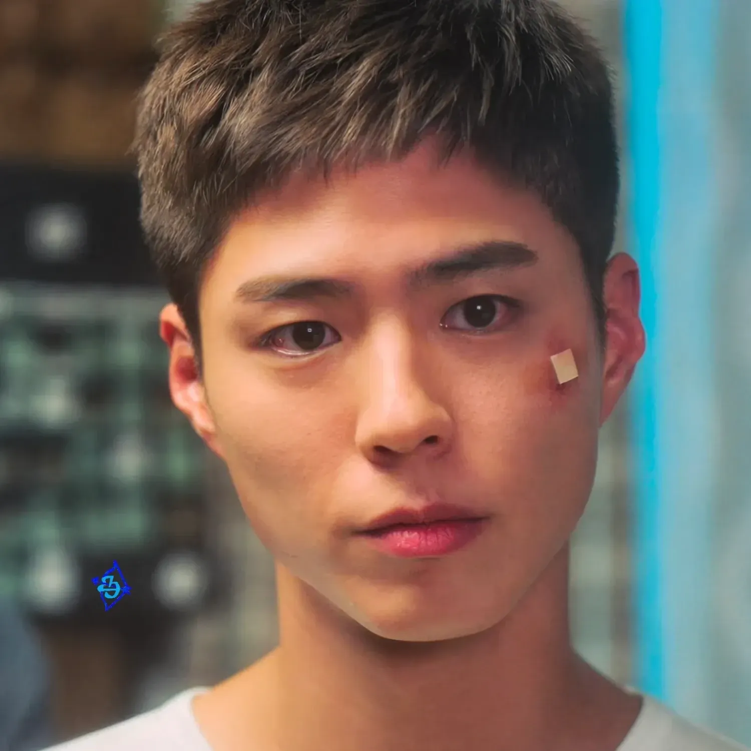A moment captured by a fan of Park Bogum