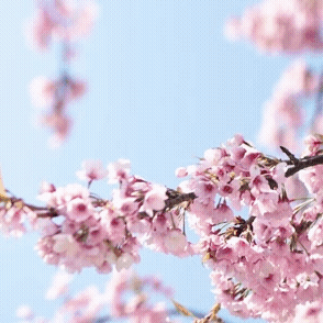 A moment captured by a fan of Kim Seonho