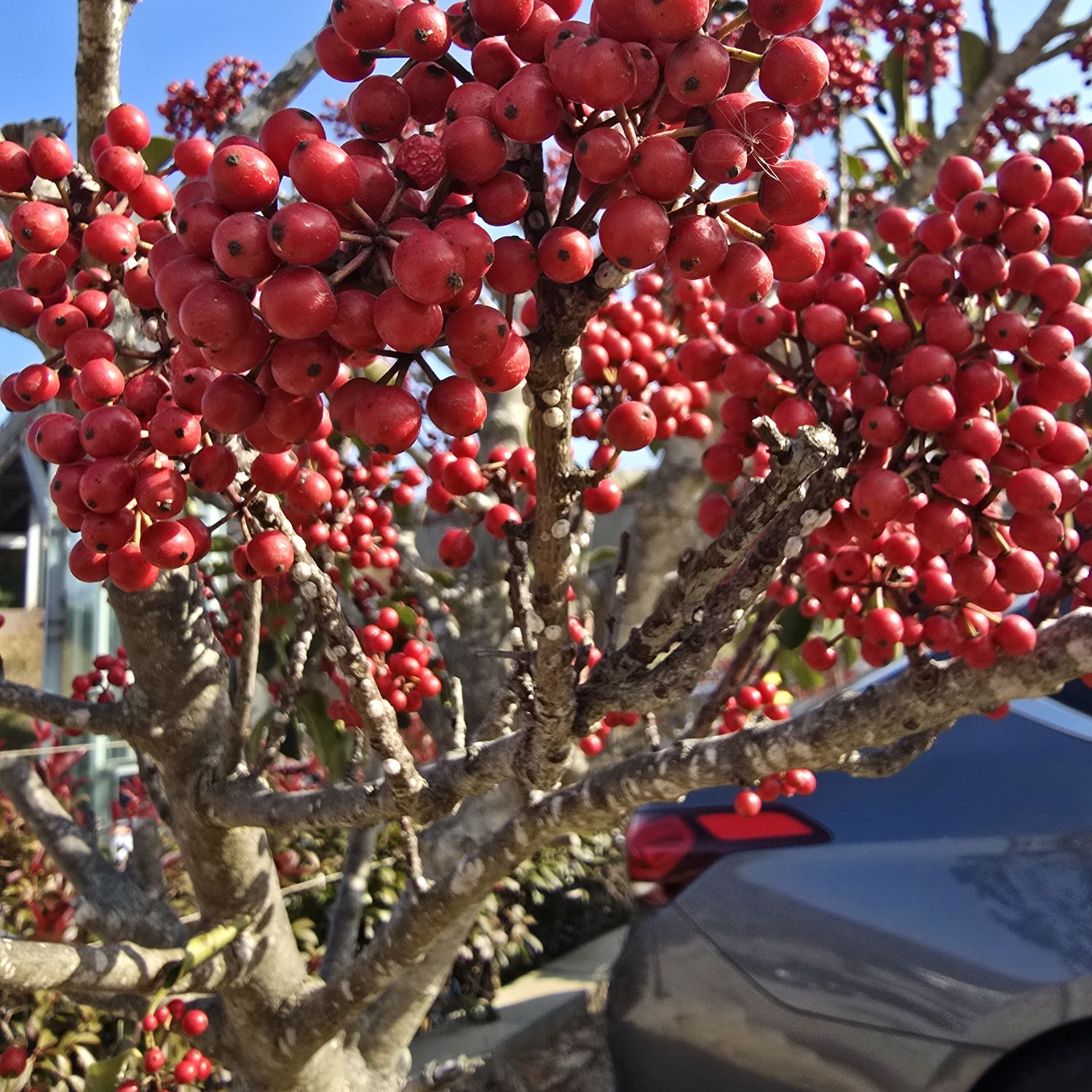パク・ソジンの最近の活動ショット