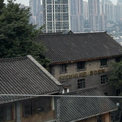 Recent activity shot of Bona