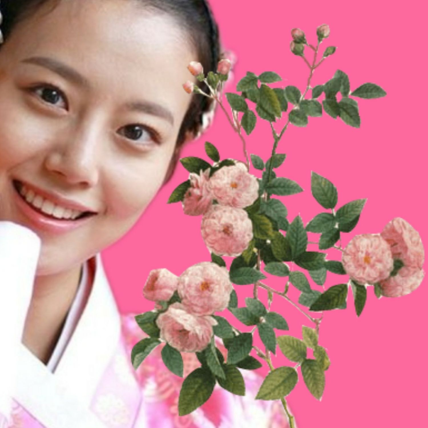 文彩元的最新照片