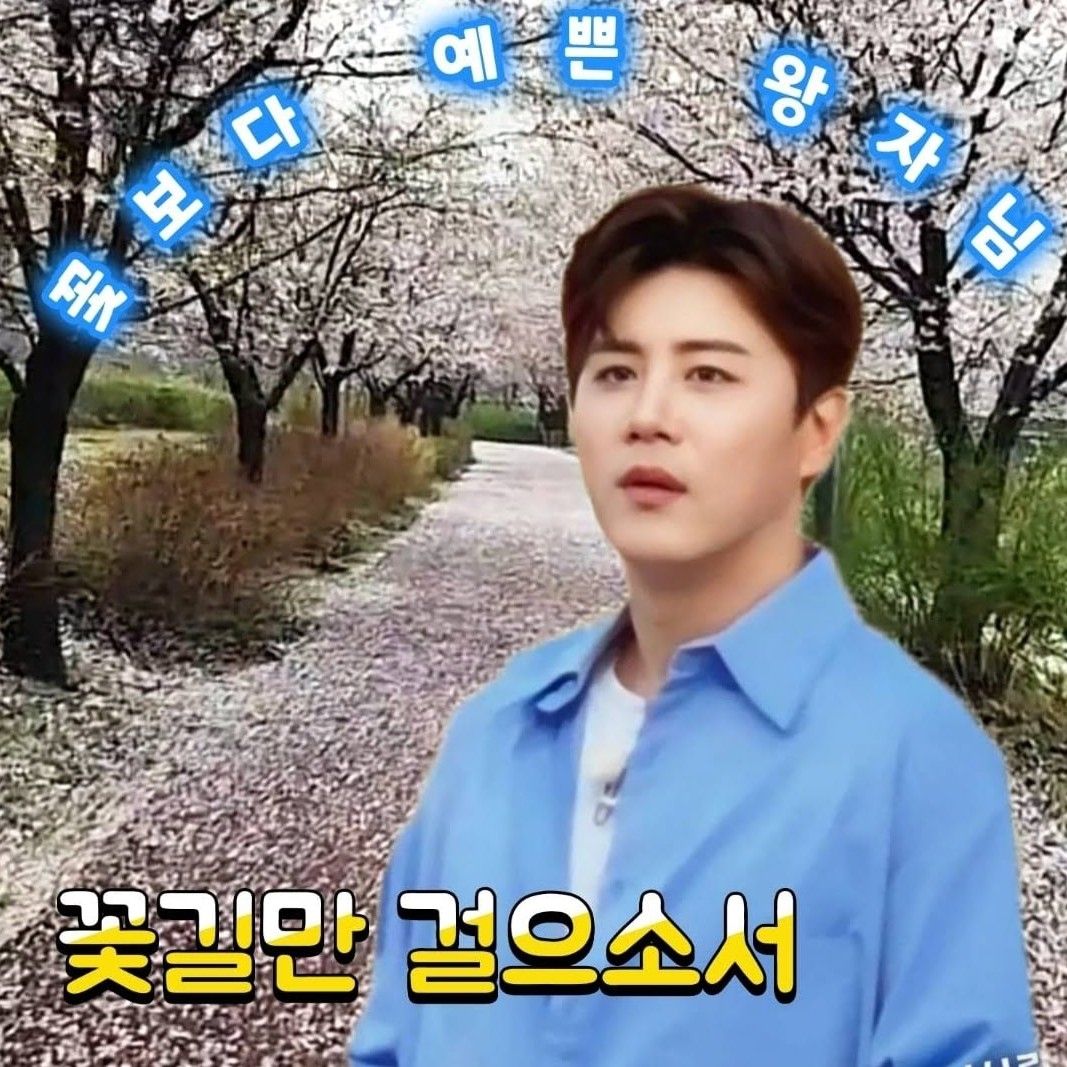 A moment captured by a fan of Jin Haesung