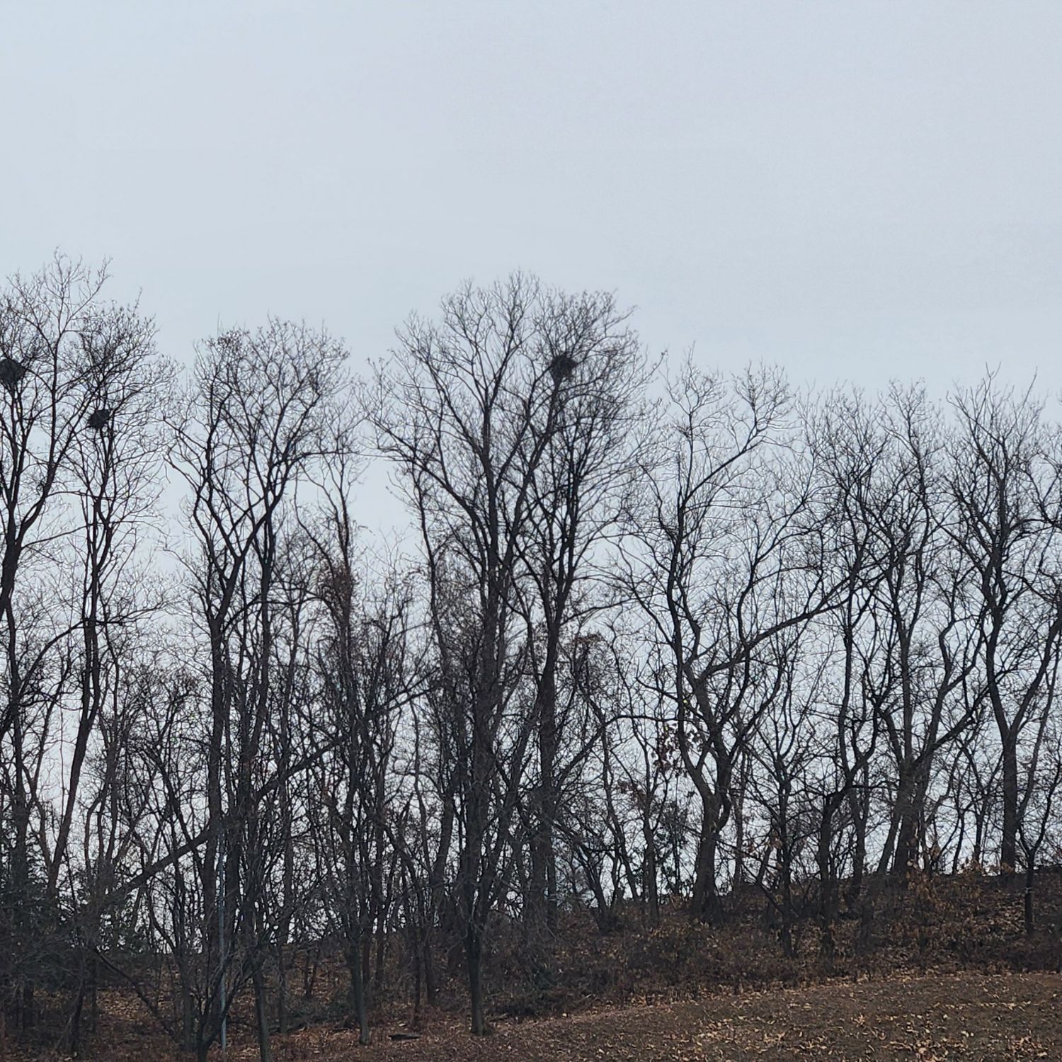 이찬원 팬이 찍은 순간