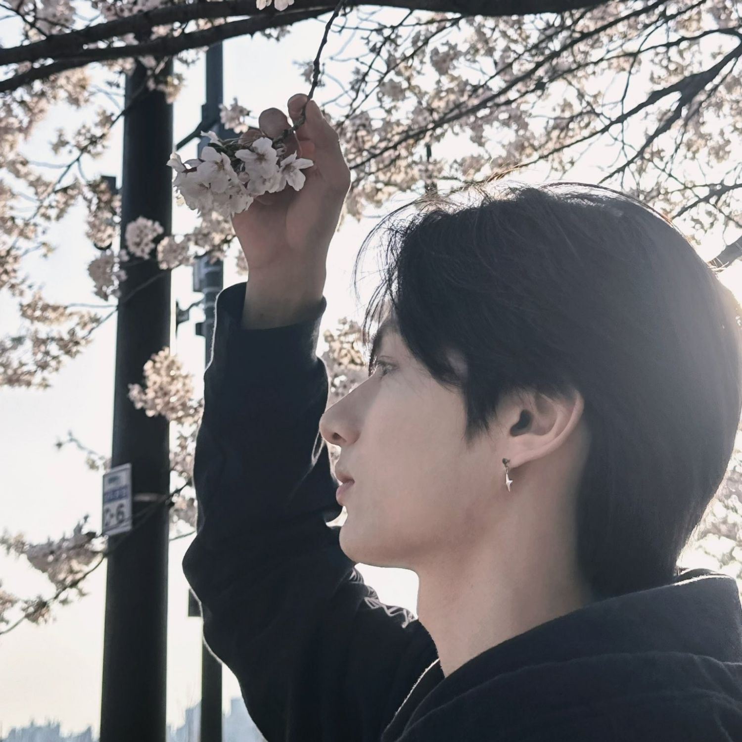 A moment captured by a fan of Wen Junhui