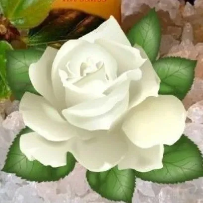 晉海成的幕後花絮