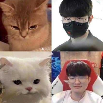 페이커의 최신 사진