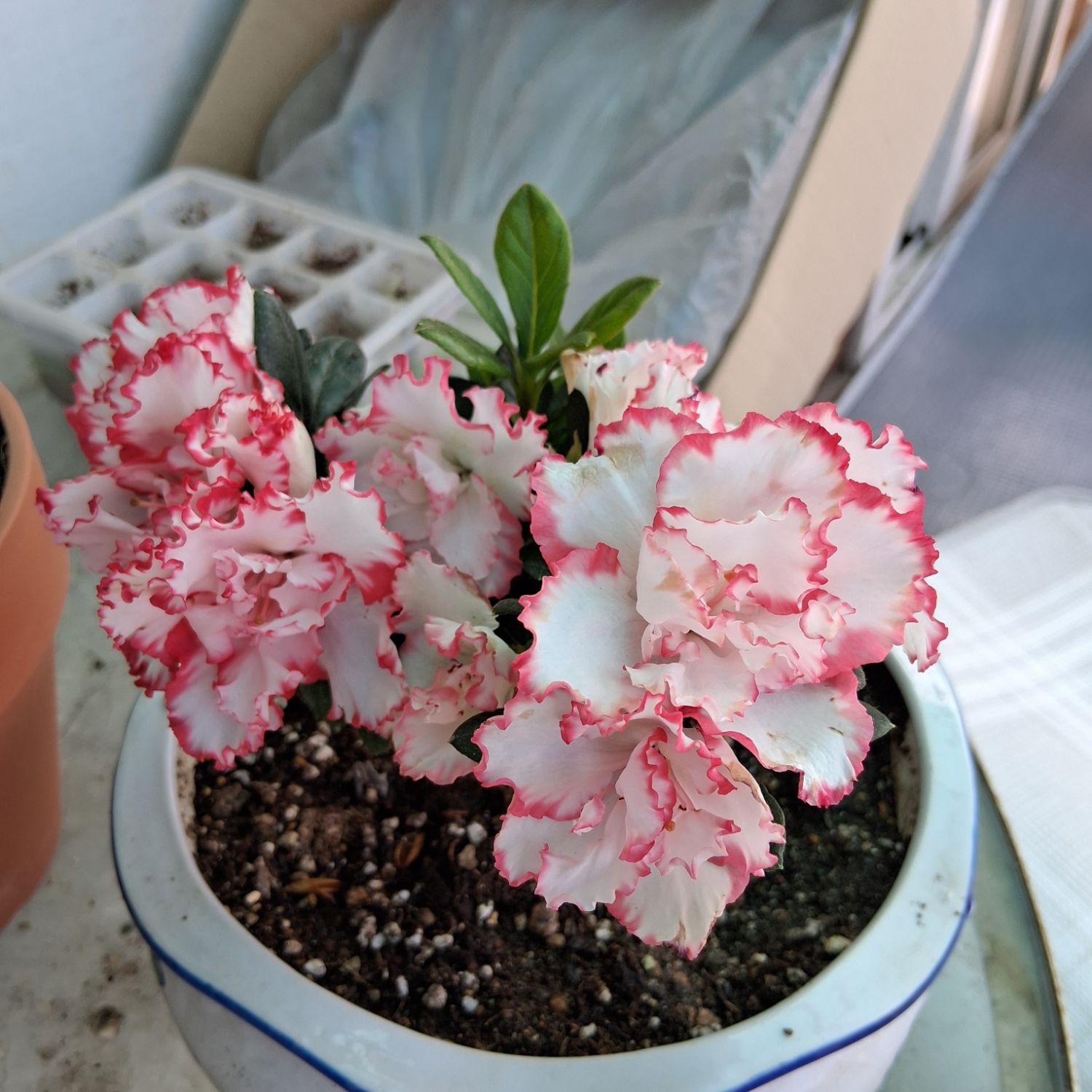 A moment captured by a fan of Kim Yongbin