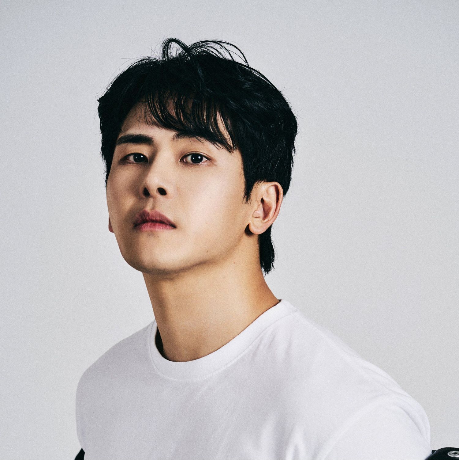 Latest photo of Hoya