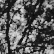 Recent activity shot of Jang Kiyong