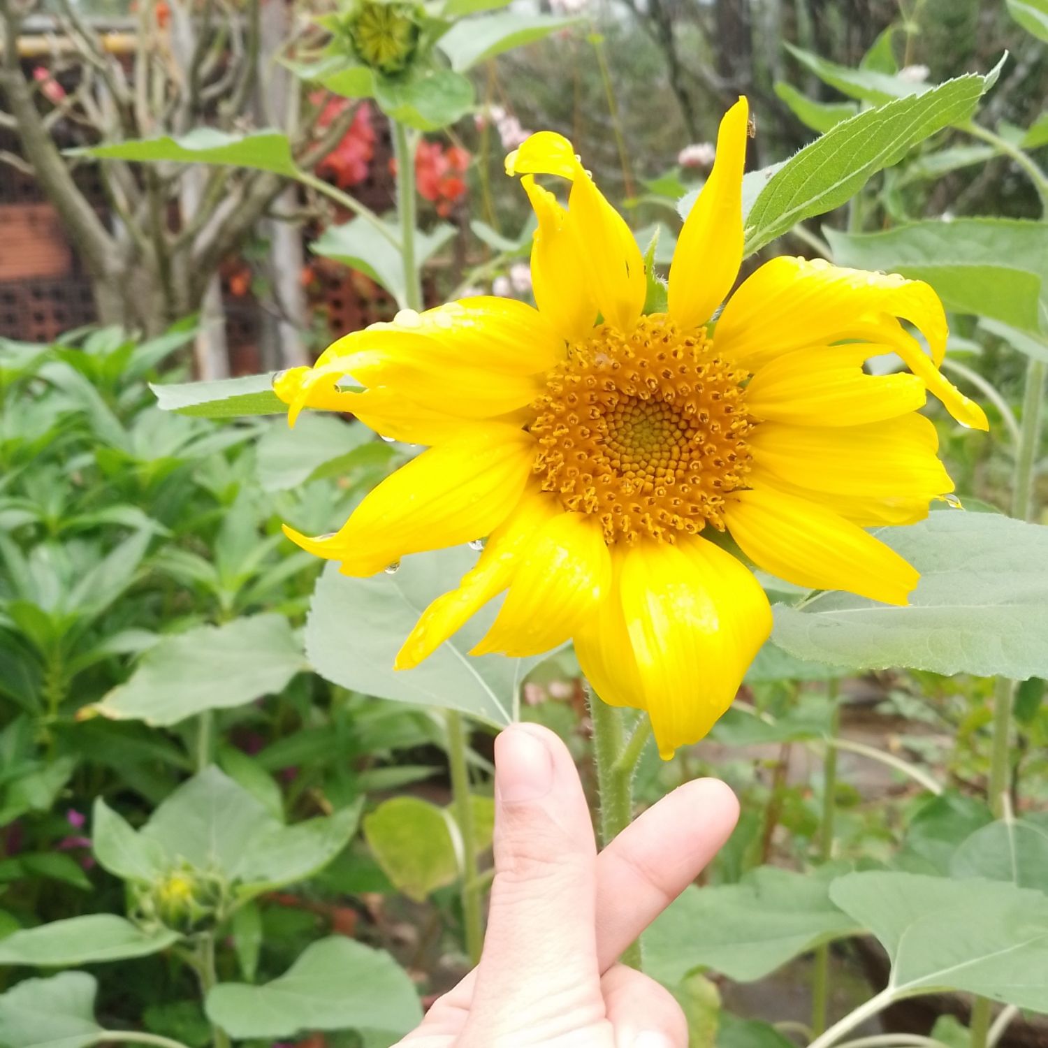 Gumayusi的幕後花絮