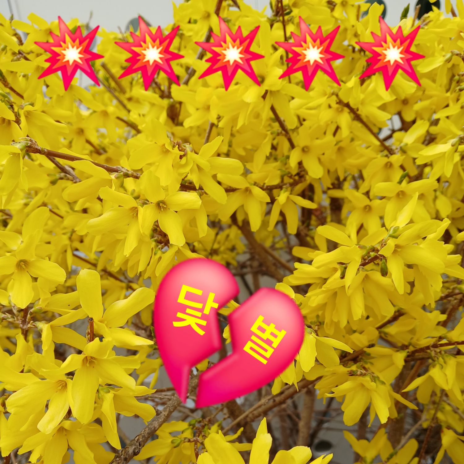 朴瑞镇的近期活动照