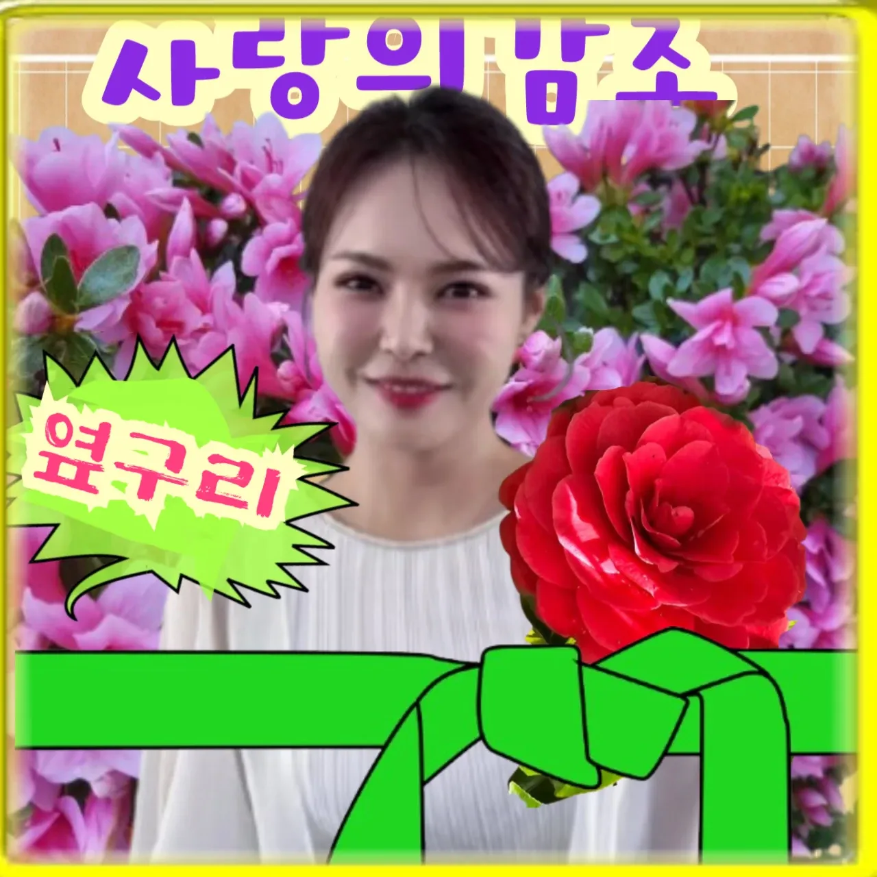 Recent activity shot of Miss Kim