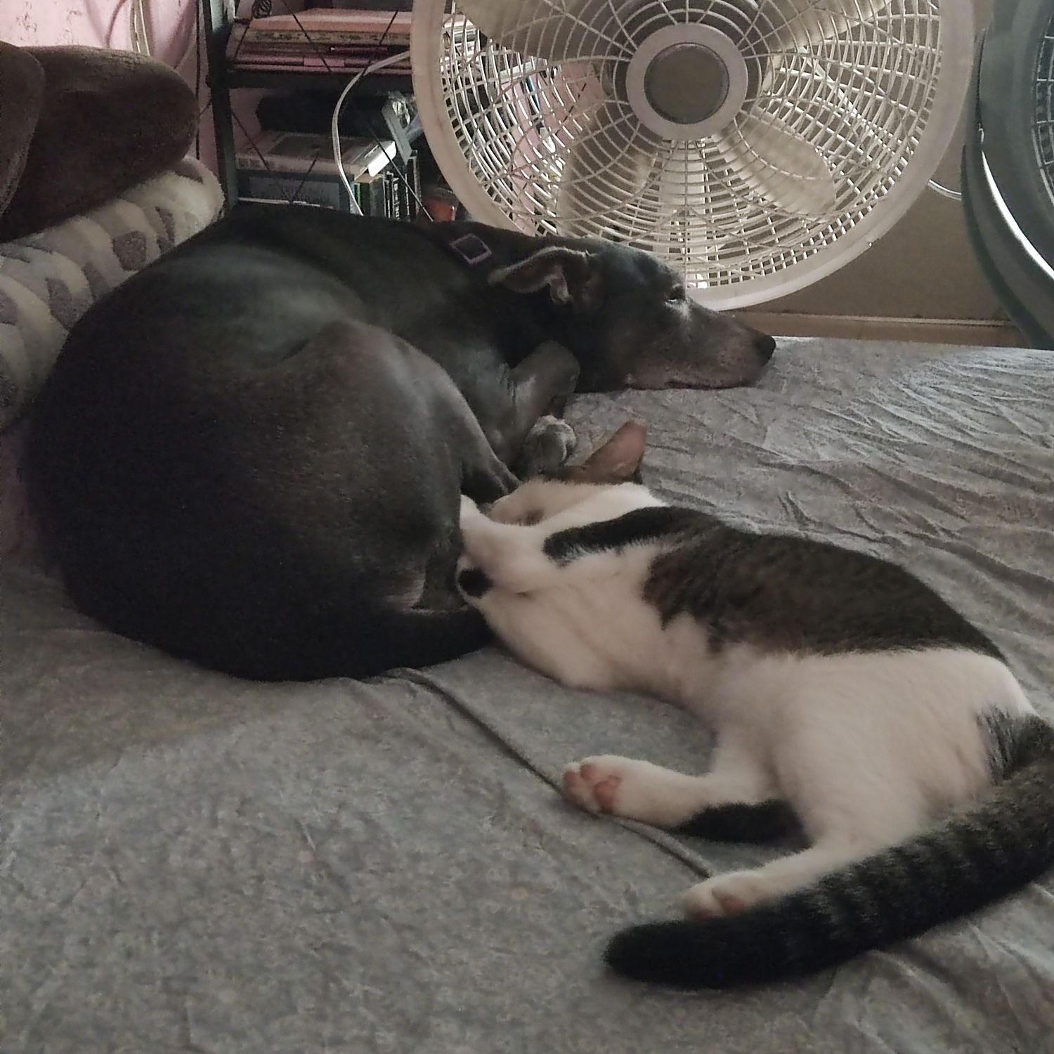 都暻秀 (D.O.)的幕後花絮